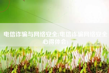 电信诈骗与网络安全(电信诈骗网络安全心得体会)