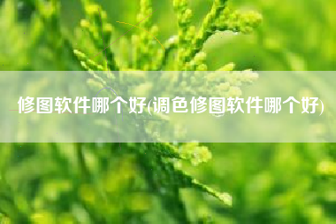 修图软件哪个好(调色修图软件哪个好)