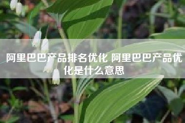 阿里巴巴产品排名优化 阿里巴巴产品优化是什么意思