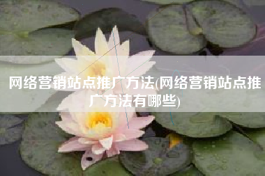 网络营销站点推广方法(网络营销站点推广方法有哪些)
