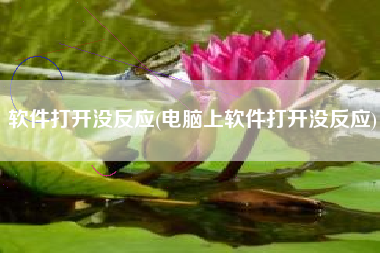 软件打开没反应(电脑上软件打开没反应)