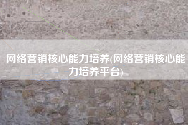 网络营销核心能力培养(网络营销核心能力培养平台)
