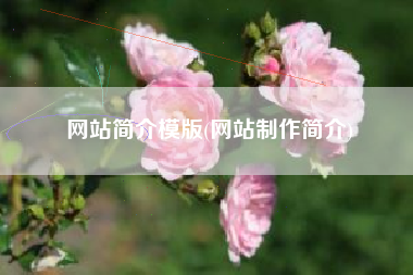 网站简介模版(网站制作简介)