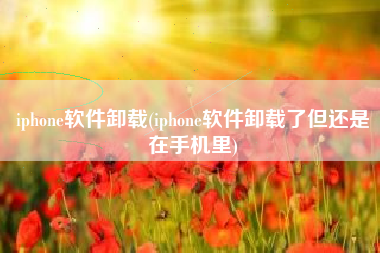 iphone软件卸载(iphone软件卸载了但还是在手机里)