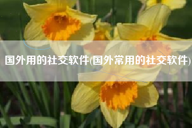 国外用的社交软件(国外常用的社交软件)