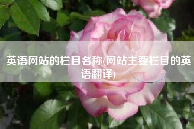 英语网站的栏目名称(网站主要栏目的英语翻译)