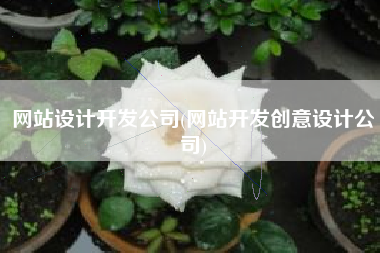 网站设计开发公司(网站开发创意设计公司)