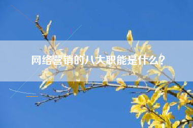 网络营销的八大职能是什么？