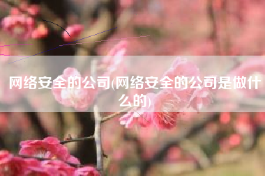 网络安全的公司(网络安全的公司是做什么的)