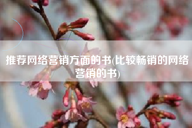 推荐网络营销方面的书(比较畅销的网络营销的书)