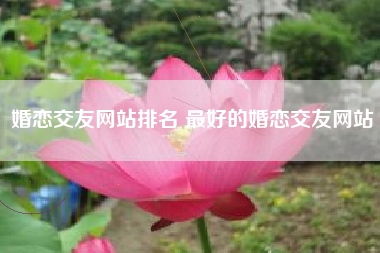 婚恋交友网站排名 最好的婚恋交友网站