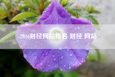 2016财经网站排名 财经 网站
