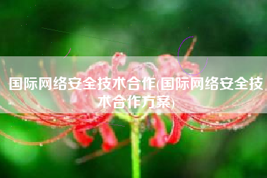国际网络安全技术合作(国际网络安全技术合作方案)