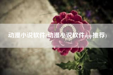 动漫小说软件(动漫小说软件app推荐)