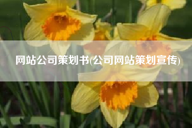 网站公司策划书(公司网站策划宣传)