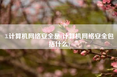 3.计算机网络安全是(计算机网络安全包括什么)