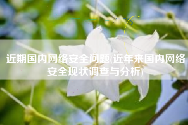 近期国内网络安全问题(近年来国内网络安全现状调查与分析)