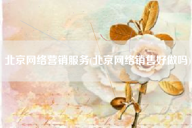 北京网络营销服务(北京网络销售好做吗)