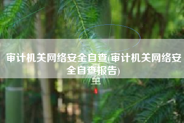 审计机关网络安全自查(审计机关网络安全自查报告)