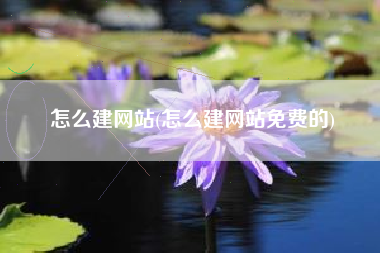 怎么建网站(怎么建网站免费的)