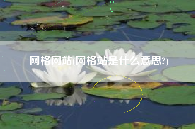网格网站(网格站是什么意思?)