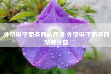 外贸电子商务网站建设 外贸电子商务网站有哪些