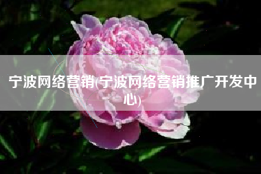 宁波网络营销(宁波网络营销推广开发中心)