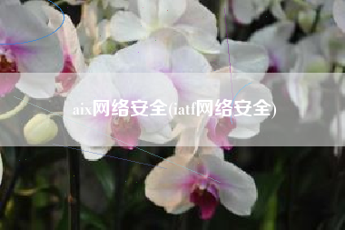 aix网络安全(iatf网络安全)