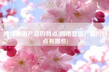 网络营销产品的特点(网络营销产品的特点有哪些)