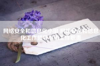 网络安全和信息化小组 网络安全和信息化工作领导小组工作职责