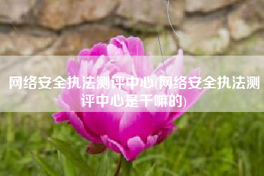 网络安全执法测评中心(网络安全执法测评中心是干嘛的)