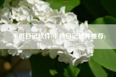 手机日记软件(手机日记软件推荐)