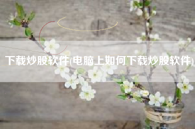 下载炒股软件(电脑上如何下载炒股软件)