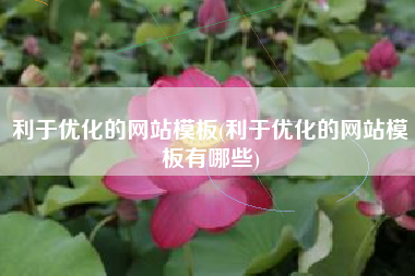 利于优化的网站模板(利于优化的网站模板有哪些)