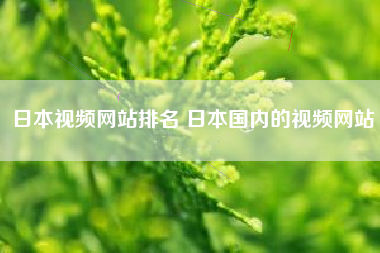 日本视频网站排名 日本国内的视频网站
