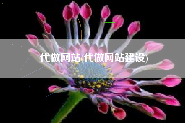 代做网站(代做网站建设)