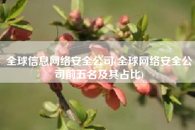 全球信息网络安全公司(全球网络安全公司前五名及其占比)