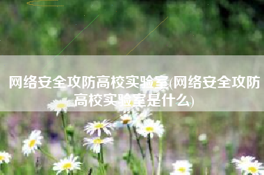 网络安全攻防高校实验室(网络安全攻防高校实验室是什么)