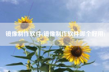 镜像制作软件(镜像制作软件哪个好用)