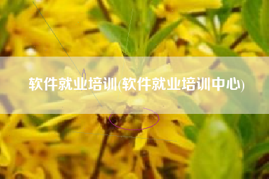 软件就业培训(软件就业培训中心)