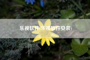 乐视软件(乐视软件安装)