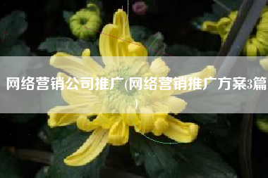 网络营销公司推广(网络营销推广方案3篇)