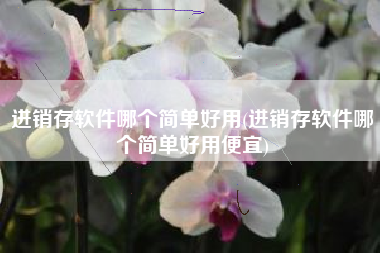 进销存软件哪个简单好用(进销存软件哪个简单好用便宜)