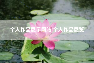 个人作品展示网站(个人作品展览)