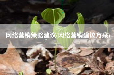 网络营销策略建议(网络营销建议方案)