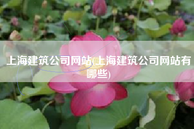 上海建筑公司网站(上海建筑公司网站有哪些)