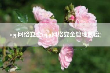 app网络安全(app网络安全管理制度)