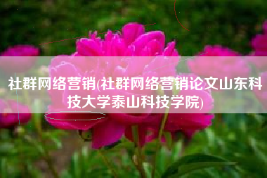 社群网络营销(社群网络营销论文山东科技大学泰山科技学院)