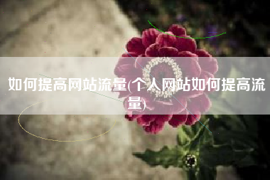 如何提高网站流量(个人网站如何提高流量)