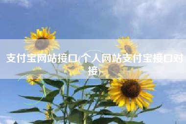 支付宝网站接口(个人网站支付宝接口对接)